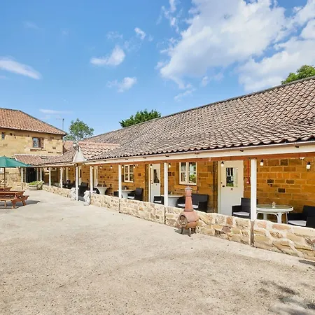 Host & - The Arches *